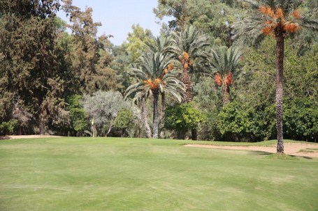 Séjour golf Maroc, Marrakech : Royal Golf Club