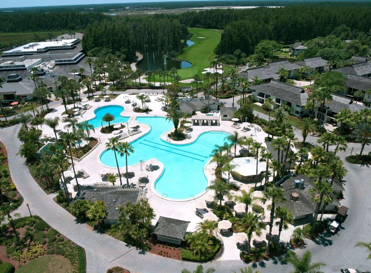 Piscine du Saddlebrook Resort Tampa