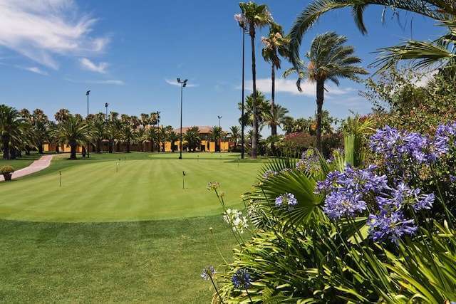 Putting Green du Golf Real Club Sevilla