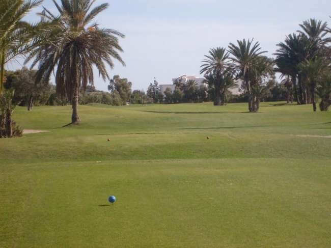 Palm links Golf Course