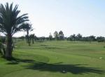 Palm Links Golf